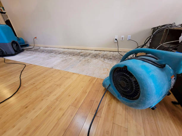 Professional Sewage Cleanup technician working in Sumner, IL